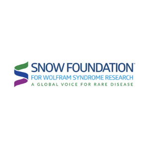 snow foundation