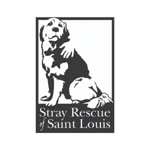 stray rescue